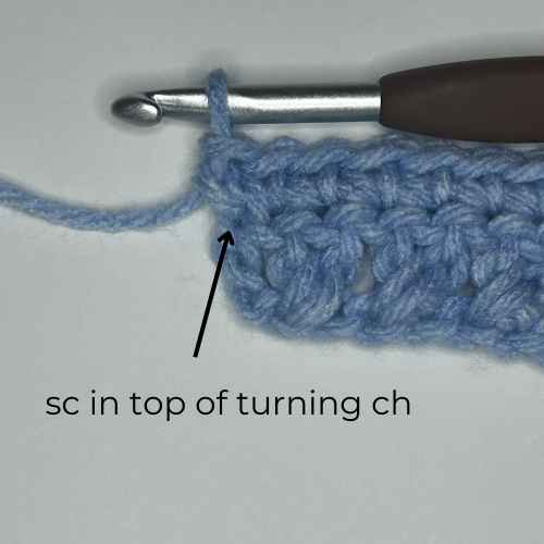example of how to sc in top of turning ch, overlay text says "sc in top of turning ch"