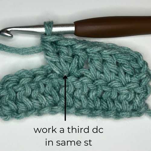 work a third double crochet in same stitch