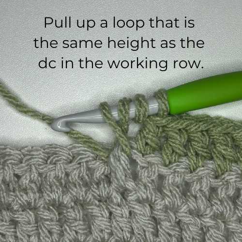 Tutorial Photo 5, text reads "Pull up a lop that is the same height as the dc in the working row"