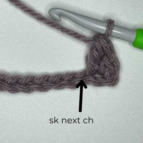 start of Suzette Stitch row, text reads "skip next chain"